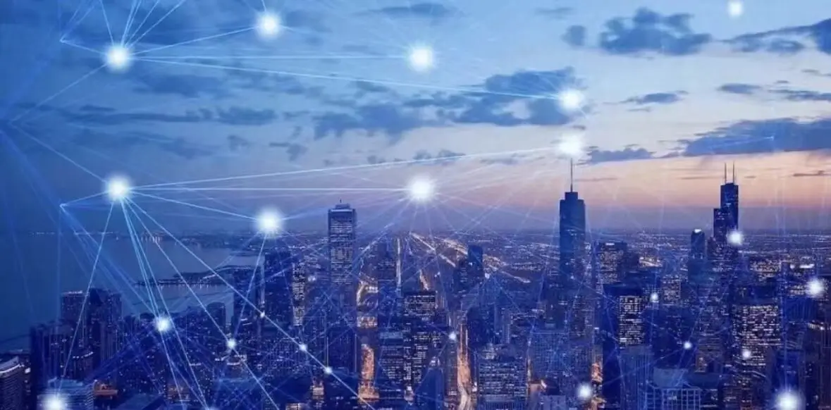 蟀蟋字笔顺怎么写，正确写法详解