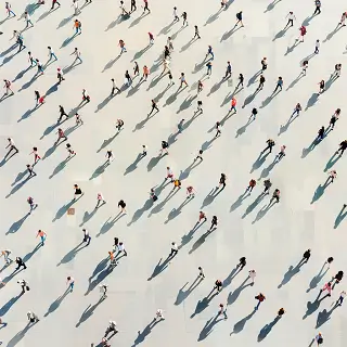 法律咨询顾问要什么文凭