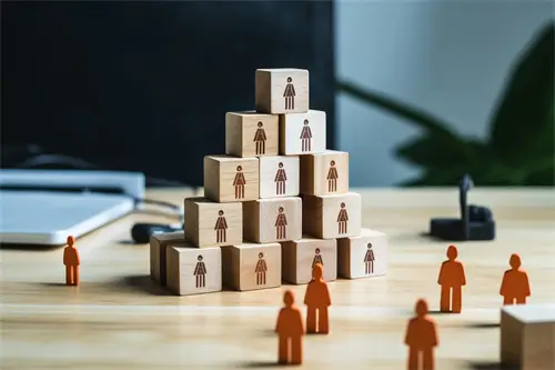 法律诊所的类别是什么