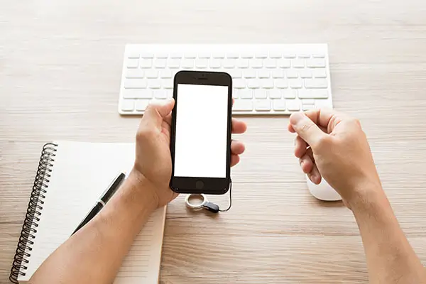 涉外法律人才什么意思